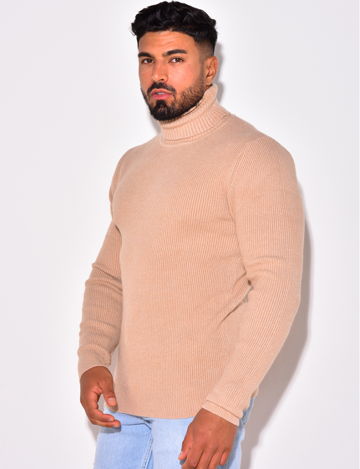 Pull col roulé basic Pull col roulé basic