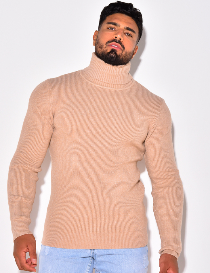 Pull col roulé basic Pull col roulé basic