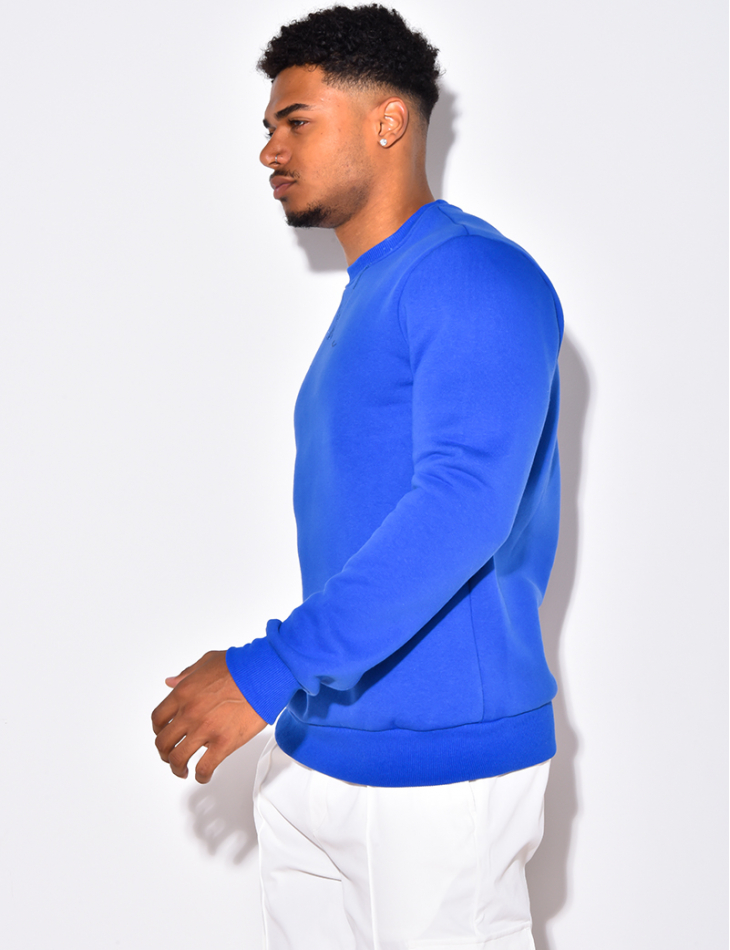 Men's basic sweatshirt top
