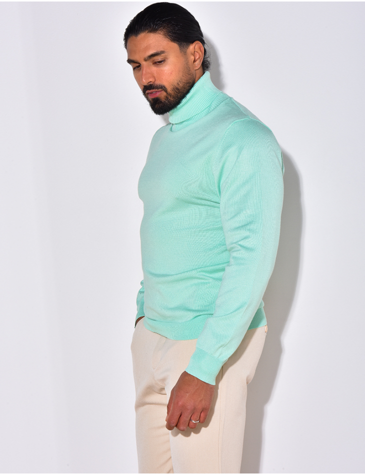 Pull fin col roulé