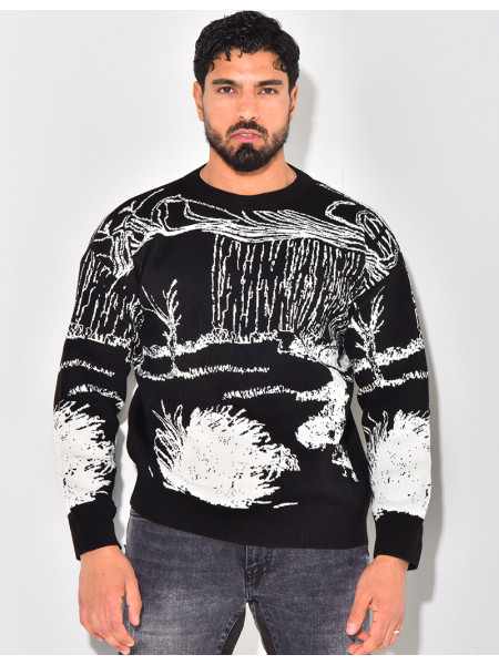 Pull à motifs