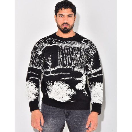Pull à motifs