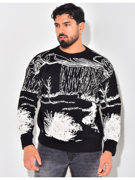 Pull à motifs