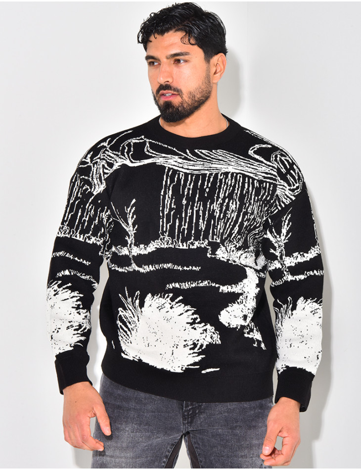 Pull à motifs