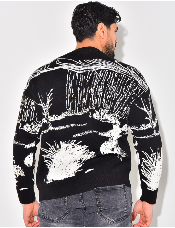Pull à motifs
