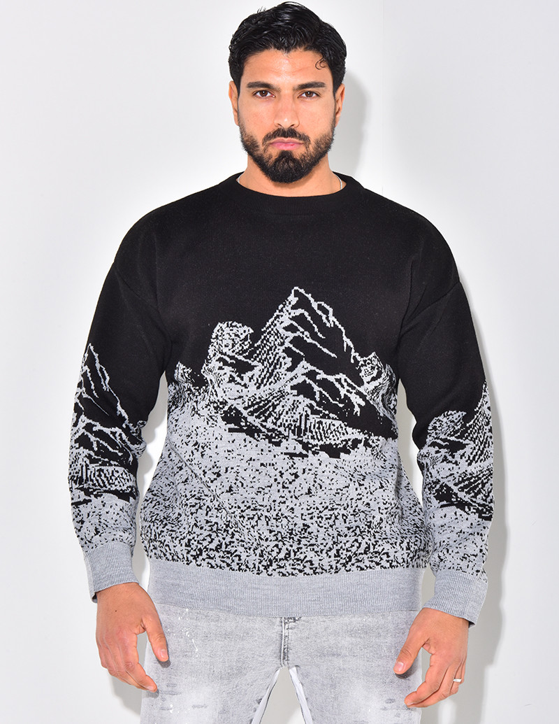 Pullover aus Wolle