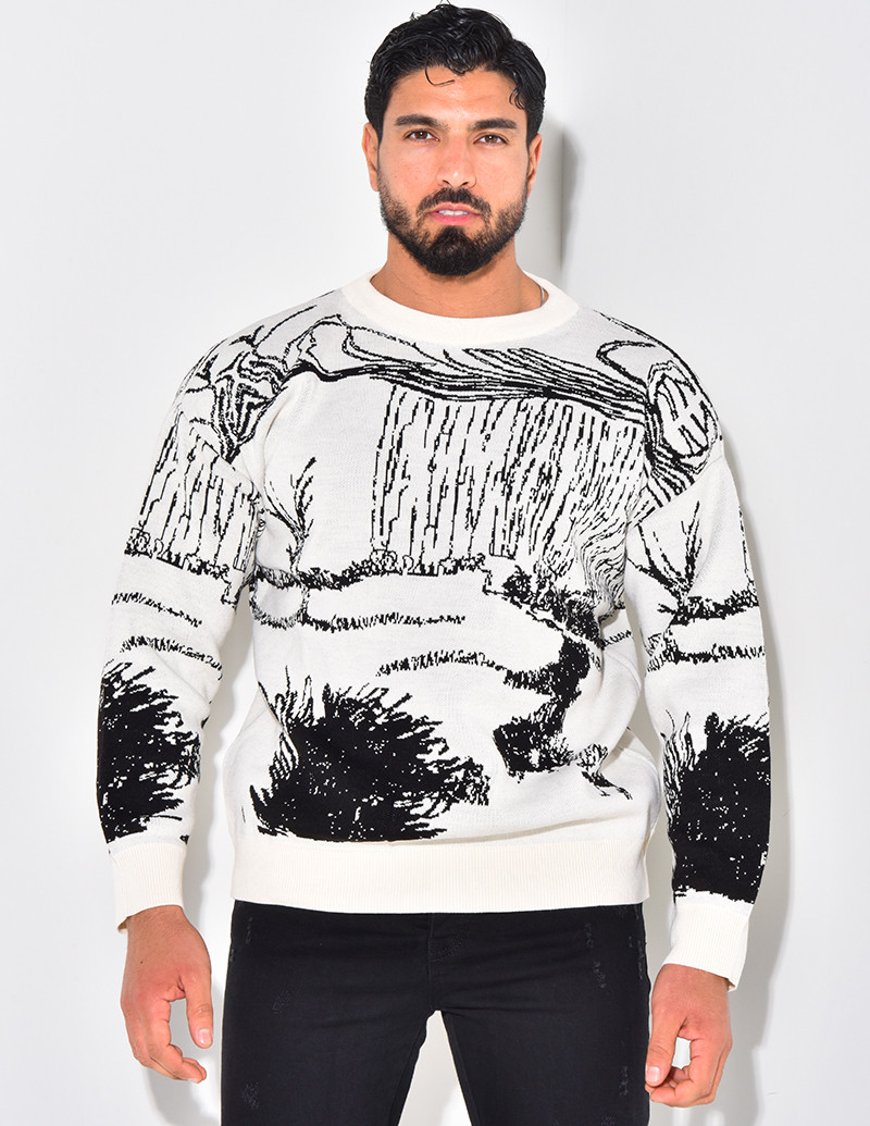 Pull à motifs