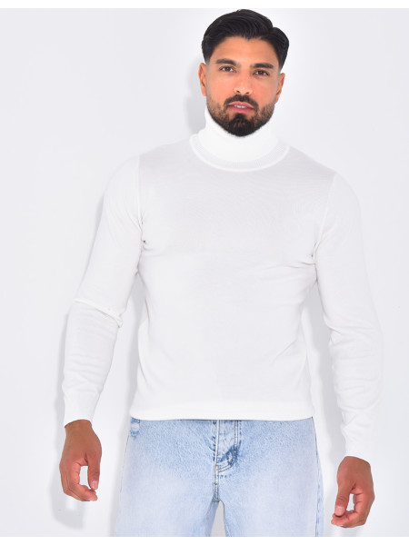 Pull fin col roulé
