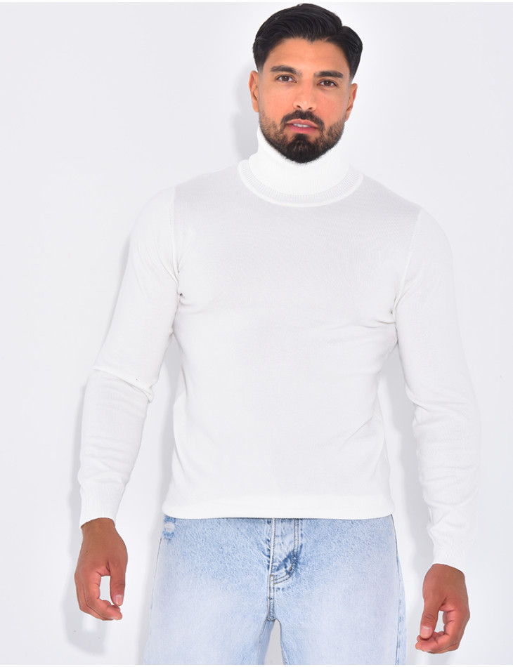 Pull fin col roulé