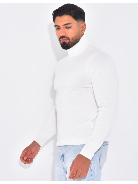 Pull fin col roulé