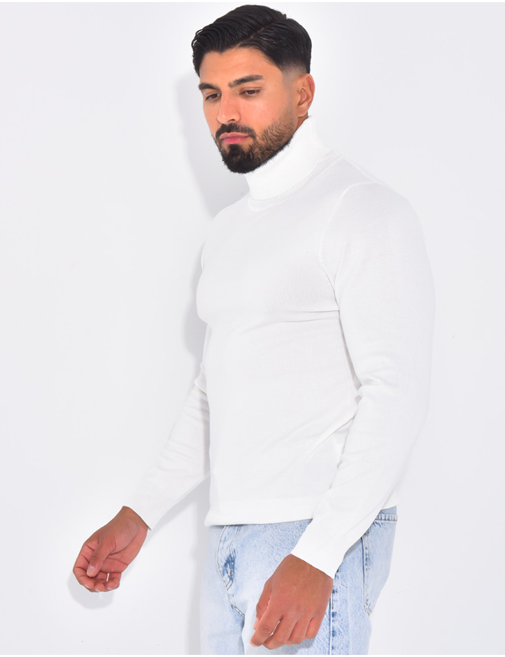 Pull fin col roulé