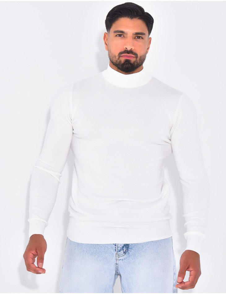 Herrenpullover