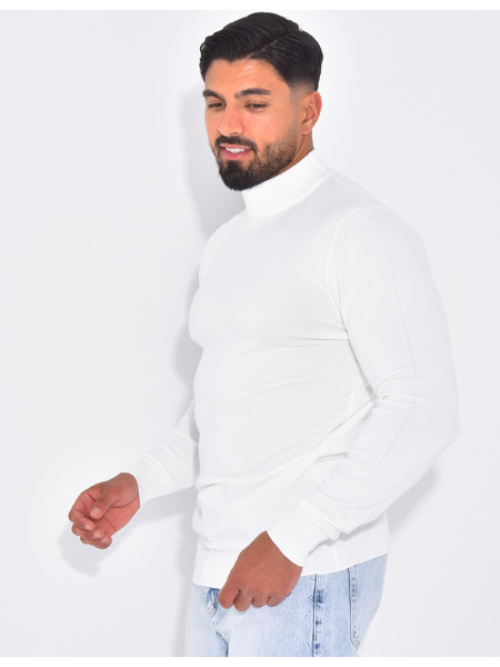 Pull fin col montant