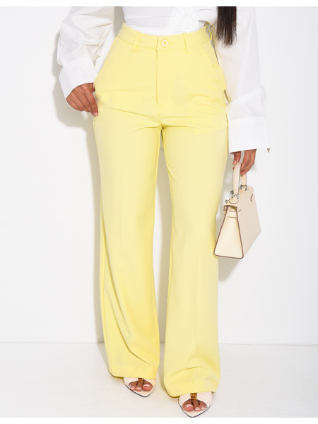 Pantalon de tailleur coupe droite