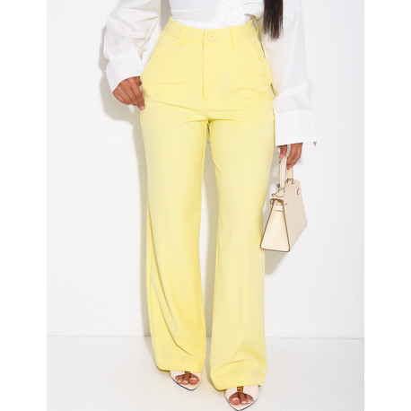 Pantalon de tailleur coupe droite