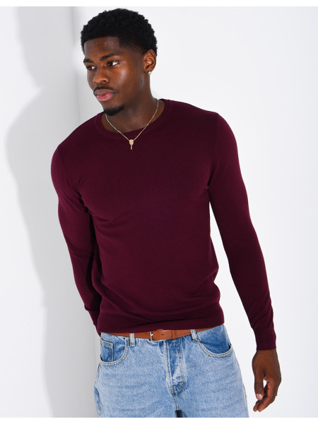 Pull homme