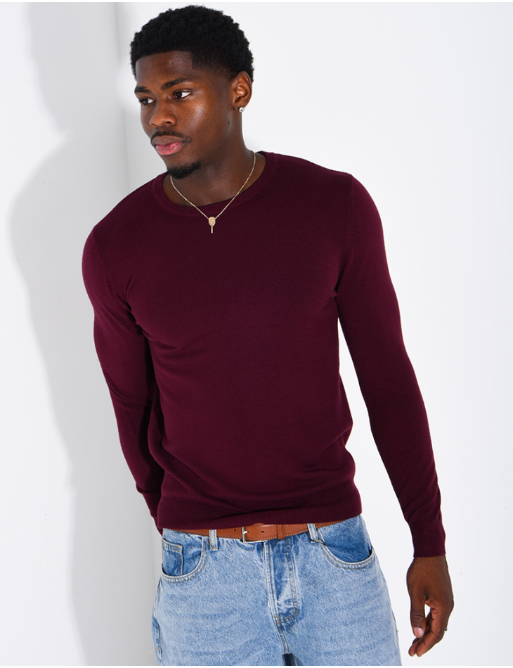 Pull homme