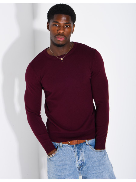 Pull homme