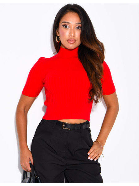 Short-sleeved, high-necked ribbed knit top