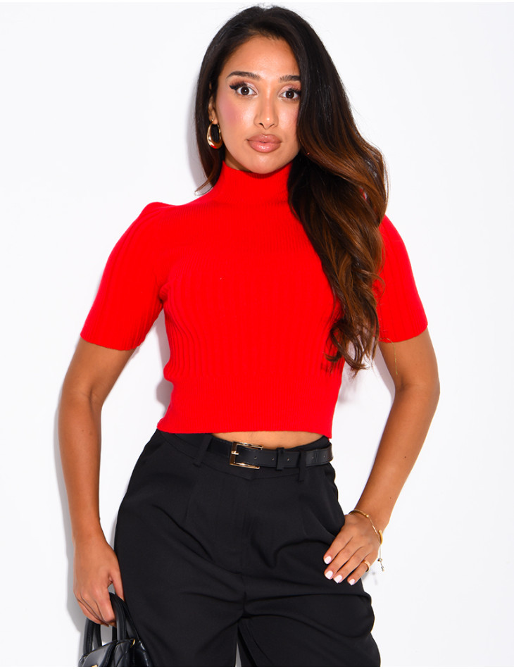 Short-sleeved, high-necked ribbed knit top