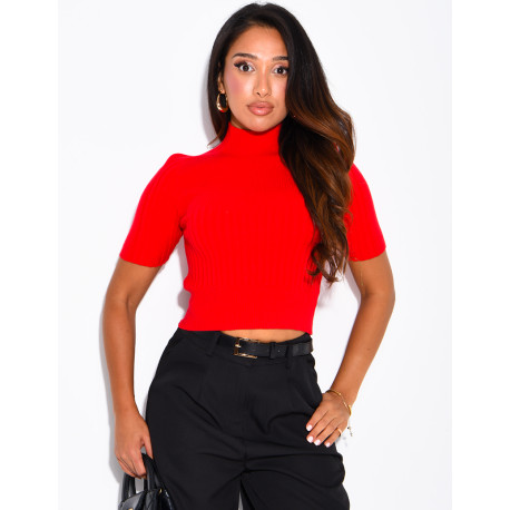 Short-sleeved, high-necked ribbed knit top