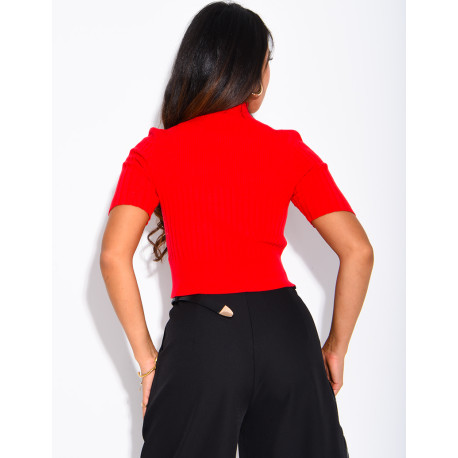 Short-sleeved, high-necked ribbed knit top