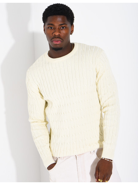 Pull en laine torsadée