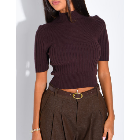 Short-sleeved, high-necked ribbed knit top