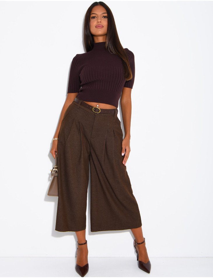 Short-sleeved, high-necked ribbed knit top
