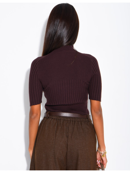 Short-sleeved, high-necked ribbed knit top