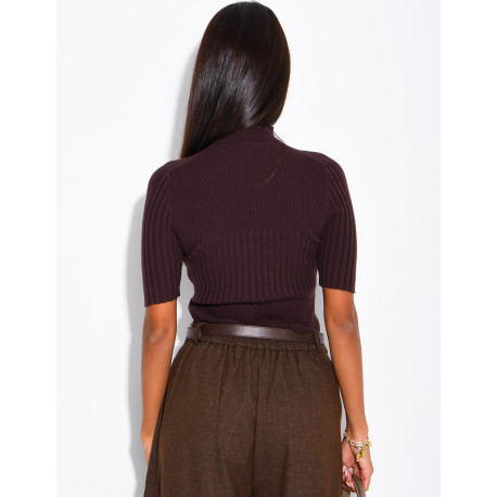 Short-sleeved, high-necked ribbed knit top