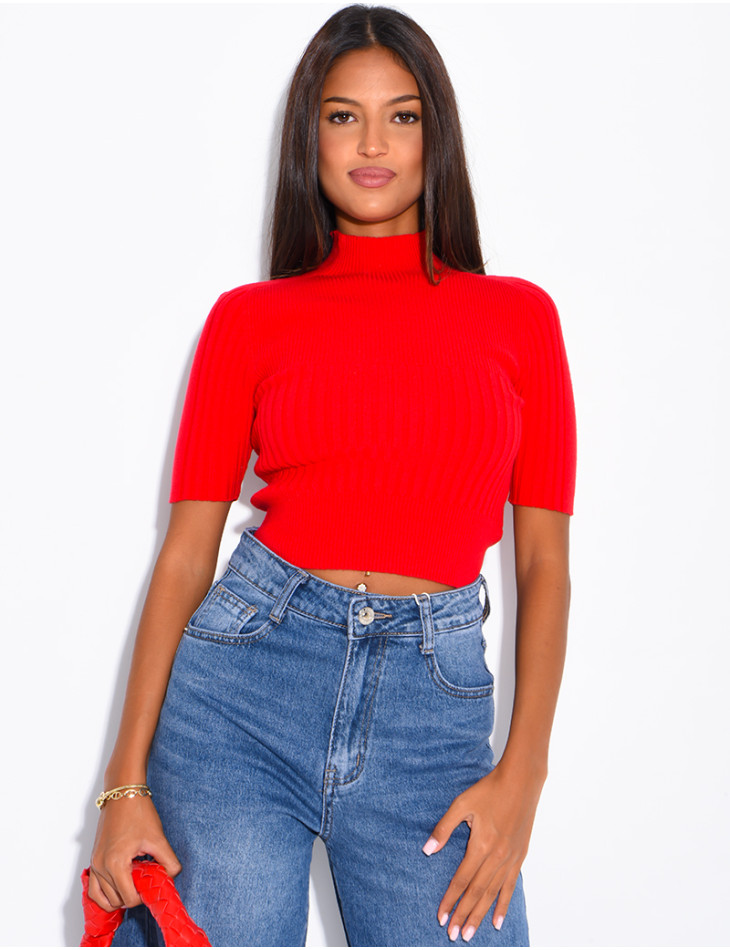 Short-sleeved, high-necked ribbed knit top