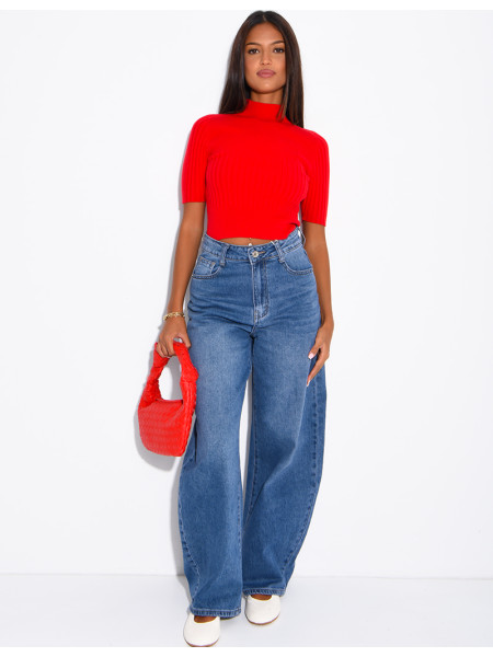 Short-sleeved, high-necked ribbed knit top