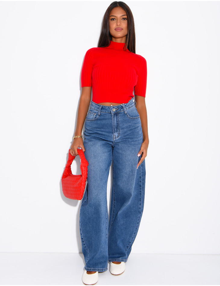 Short-sleeved, high-necked ribbed knit top