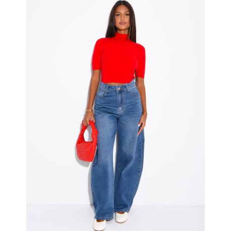 Short-sleeved, high-necked ribbed knit top