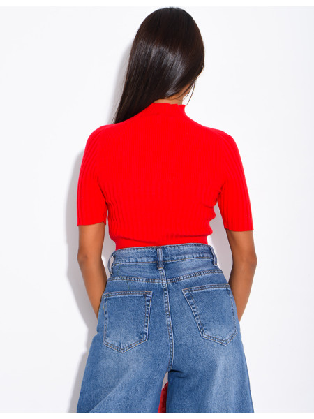 Short-sleeved, high-necked ribbed knit top