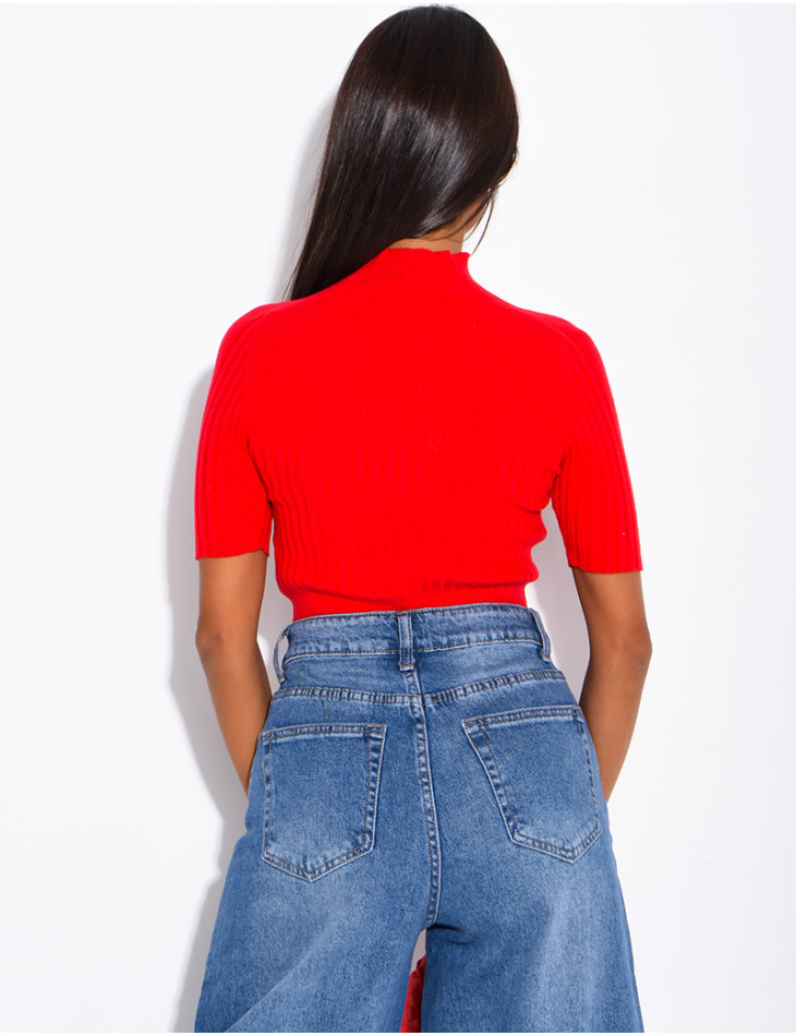 Short-sleeved, high-necked ribbed knit top