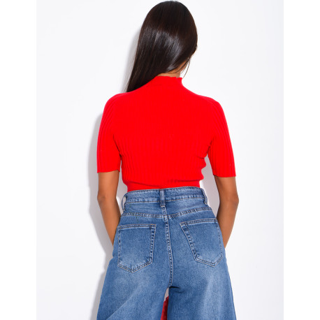Short-sleeved, high-necked ribbed knit top