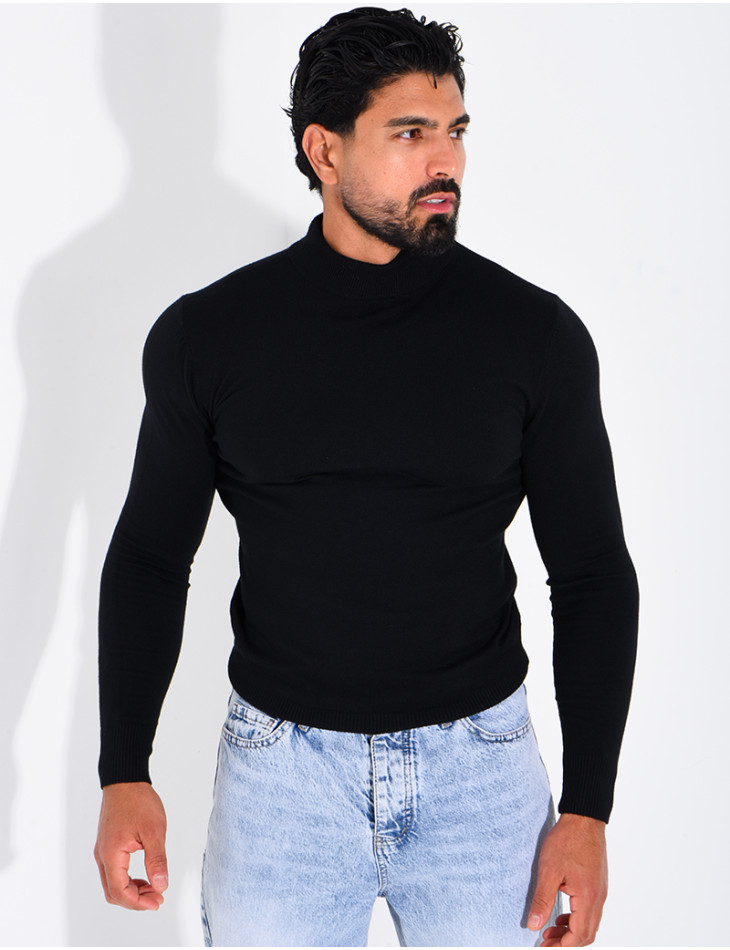 Pull fin col montant
