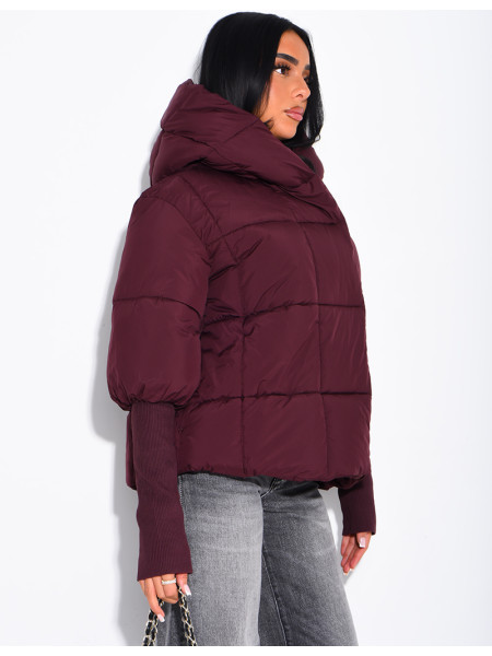 Kurze, gesteppte Daunenjacke mit Stehkragen, Kapuze und gerippten Ärmeln