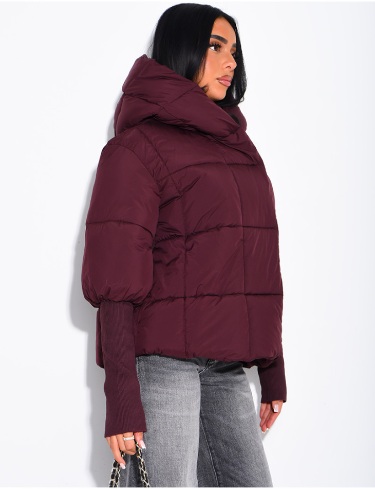 Kurze, gesteppte Daunenjacke mit Stehkragen, Kapuze und gerippten Ärmeln